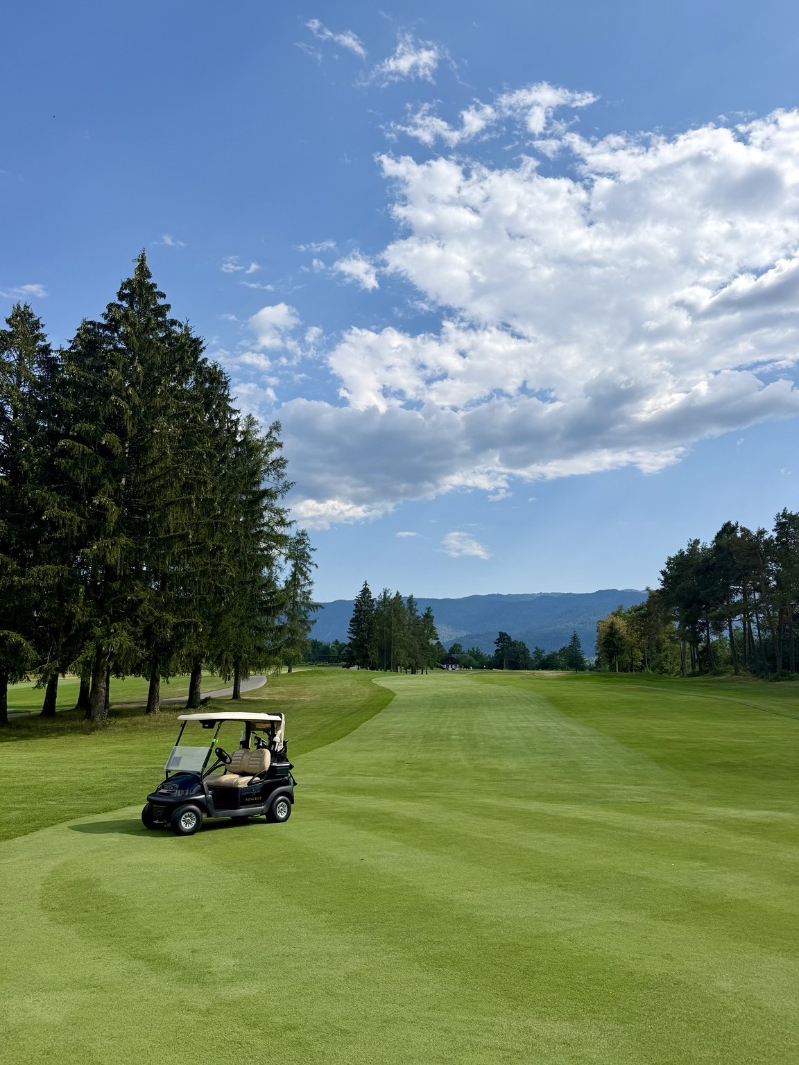 A golf buggy beside a broad fairway lined with trees