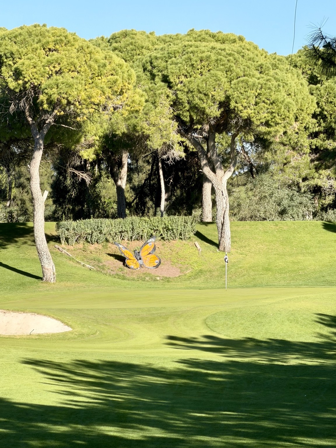 A golf green with a flag, pine trees and a butterfly sculpture