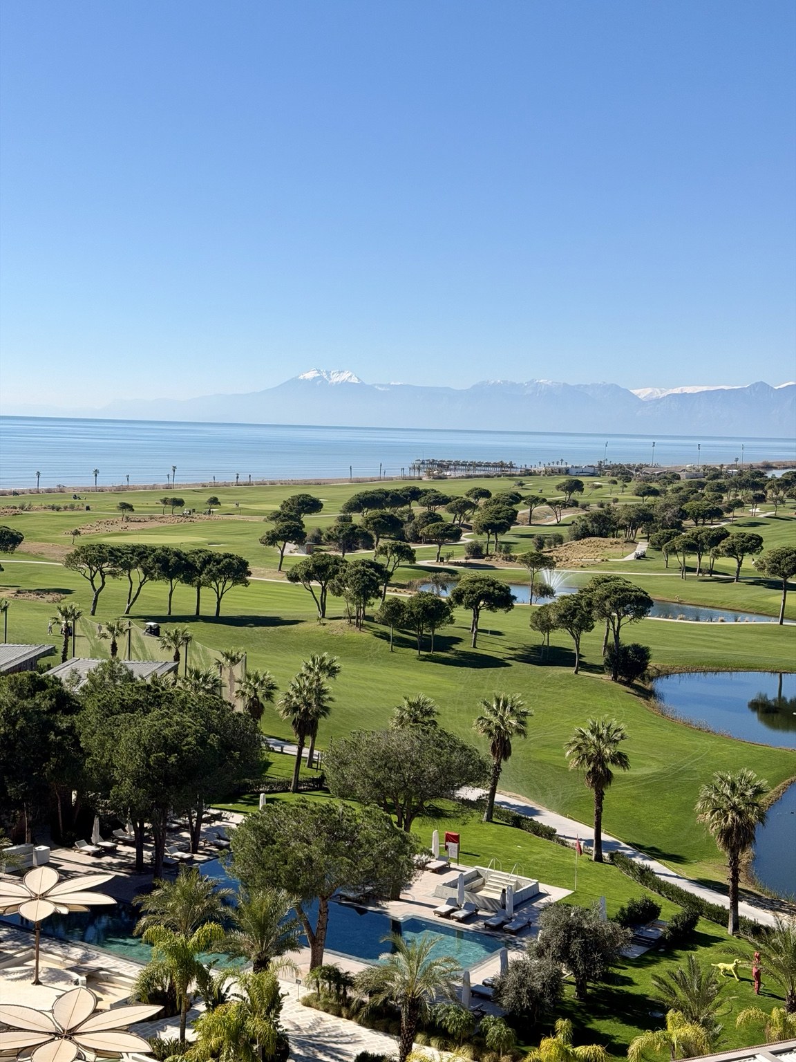 Coastal golf course with lakes and palm trees